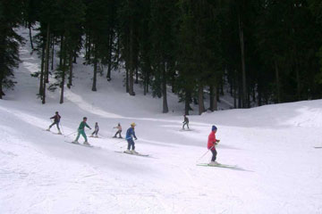 Pathankot to Narkanda, Sarahan, Sangla, Chitkul, Kalpa, Kaza, Chandratal, Manali
